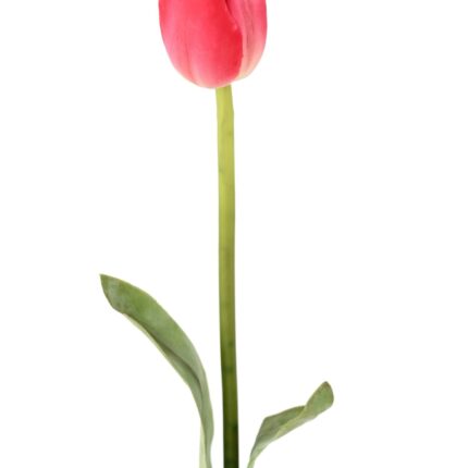 Künstliche Tulpe, rot, ca. 79cm hoch – Pflegeleicht!