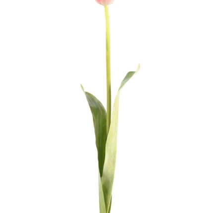 Künstliche Tulpe, pink, ca. 79cm hoch - Pflegeleicht!