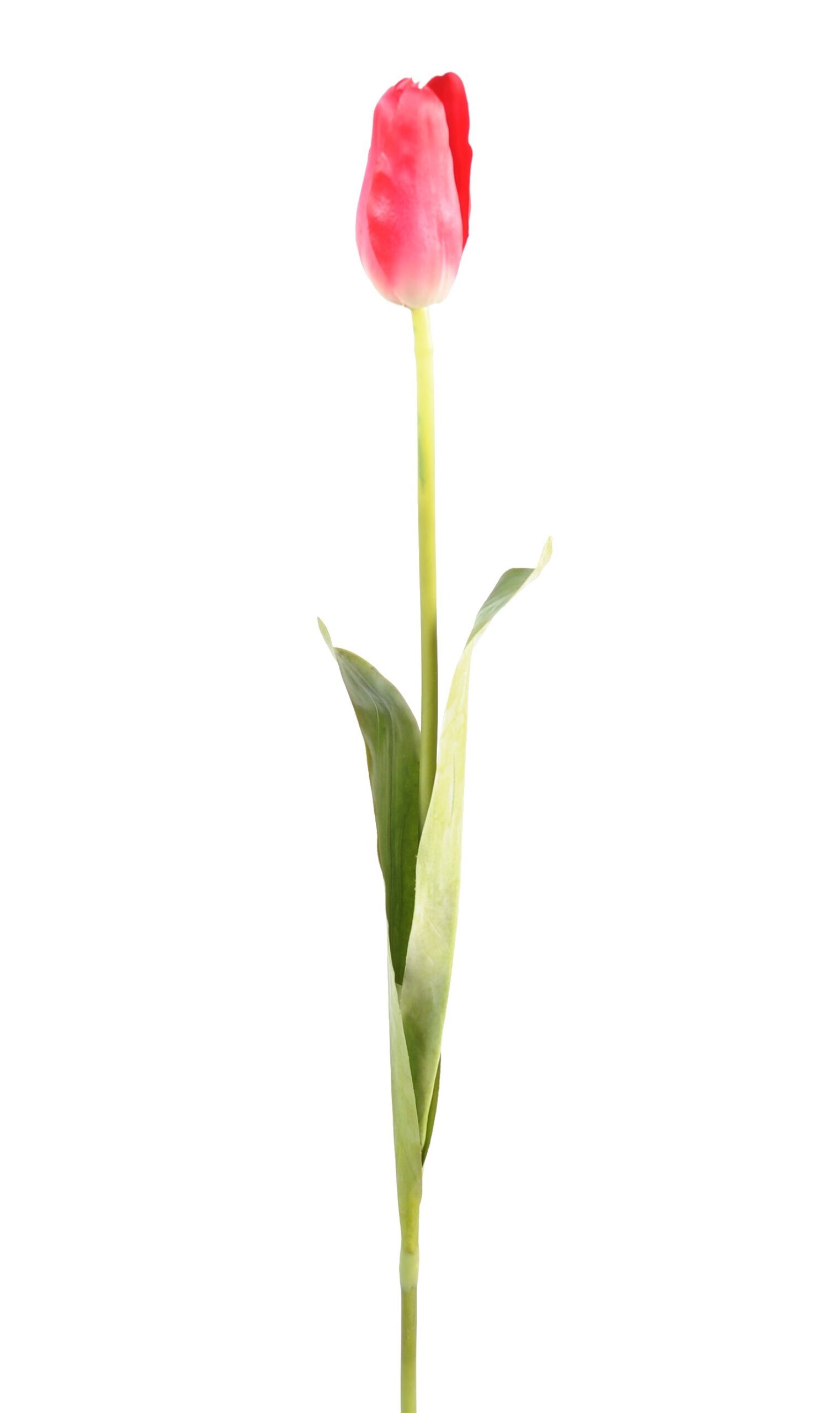 Künstliche Tulpe, pink, ca. 79cm hoch - Pflegeleicht! 1 Künstliche Tulpe, pink, ca. 79cm hoch - Pflegeleicht!