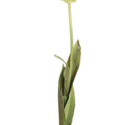 Künstliche Papageientulpe, lila, ca. 70cm hoch