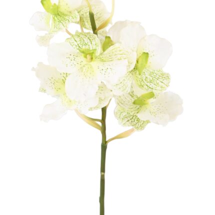 Künstliche Vanda Orchidee, weiß, 70cm hoch - Pflegeleicht