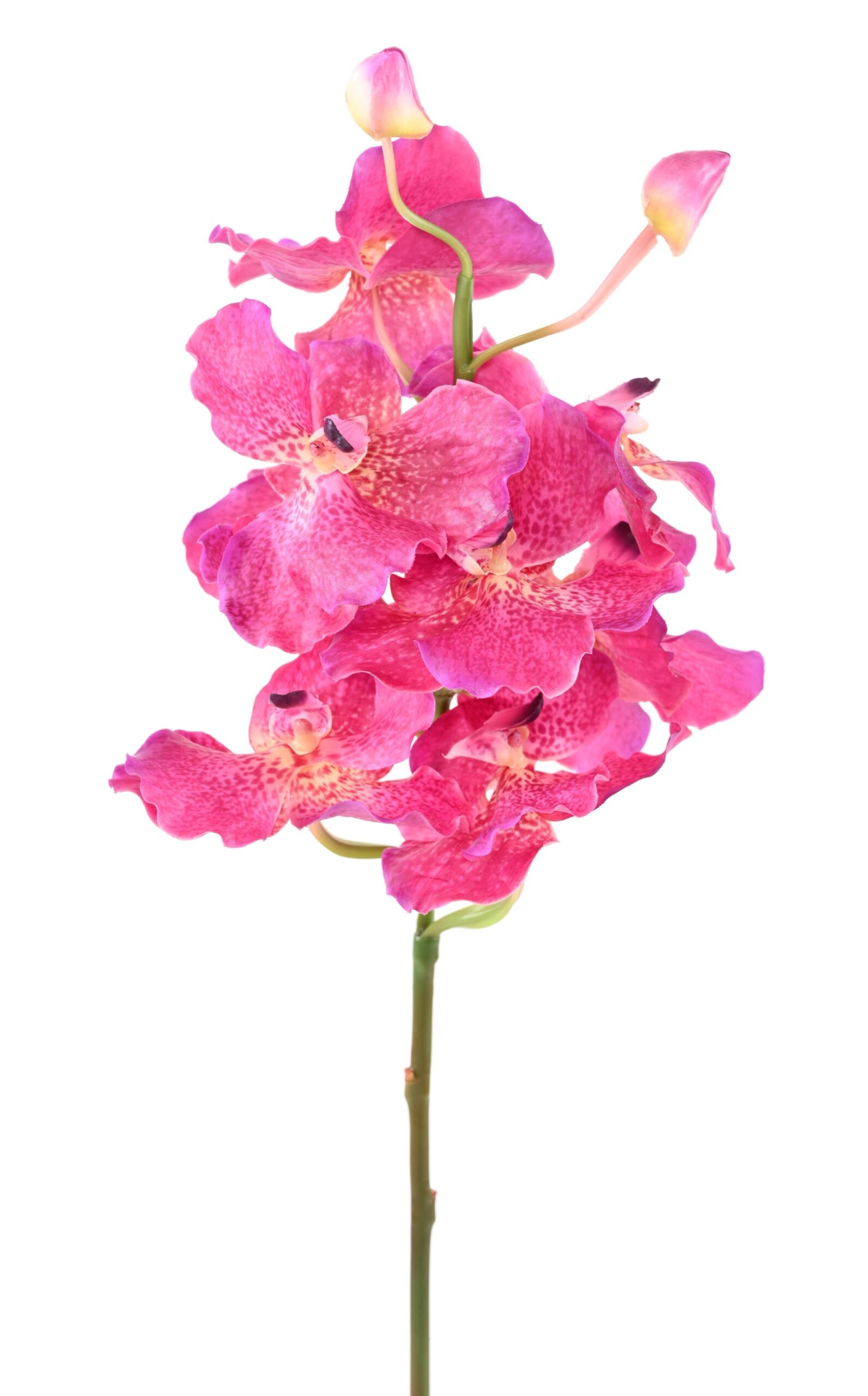 Künstliche Vanda-Orchidee, pink, ca. 70cm hoch 1 Künstliche Vanda-Orchidee, pink, ca. 70cm hoch