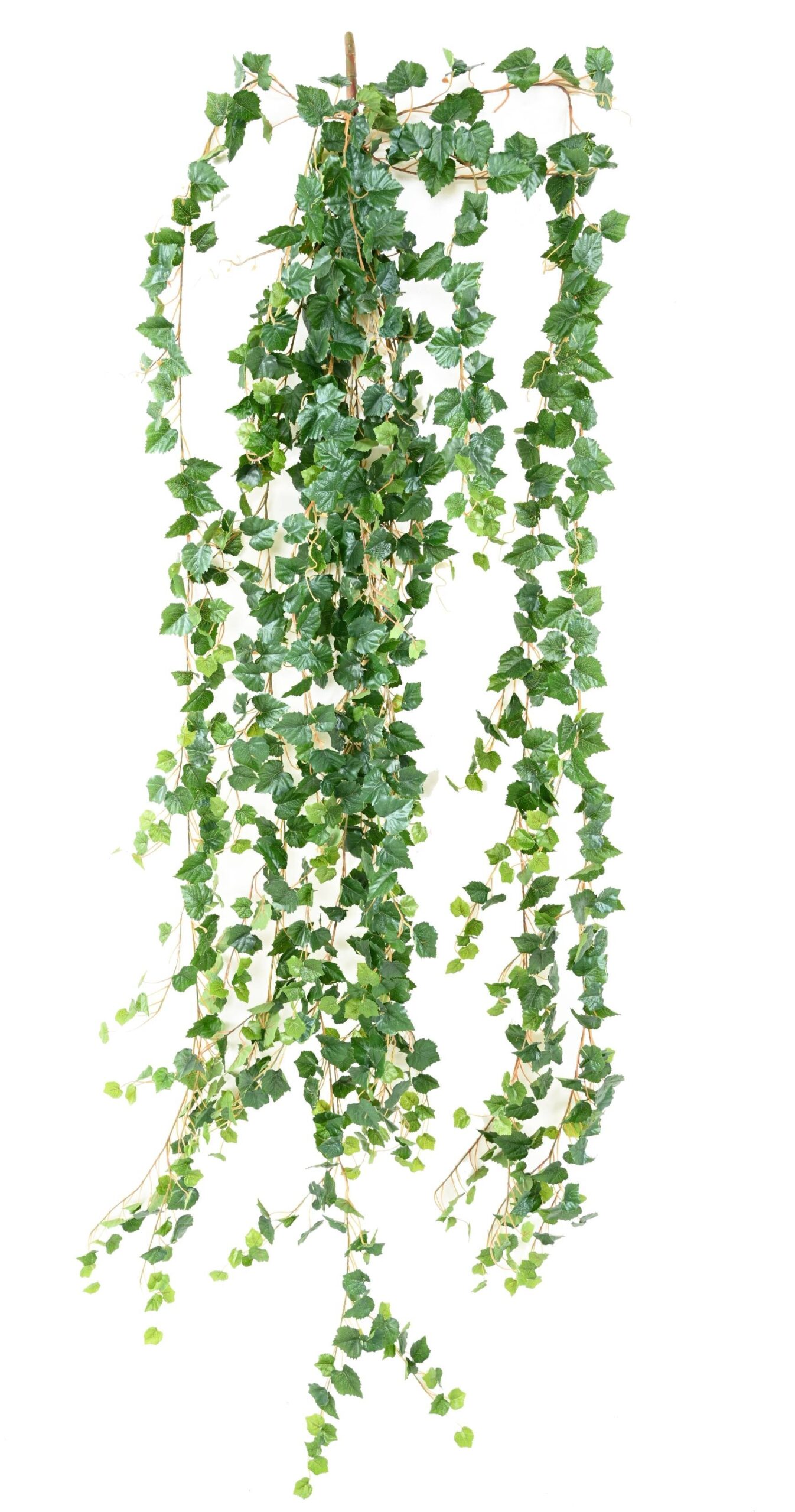 Künstliche Weinranke Medium, ca. 200cm 1 Künstliche Weinranke Medium, ca. 200cm
