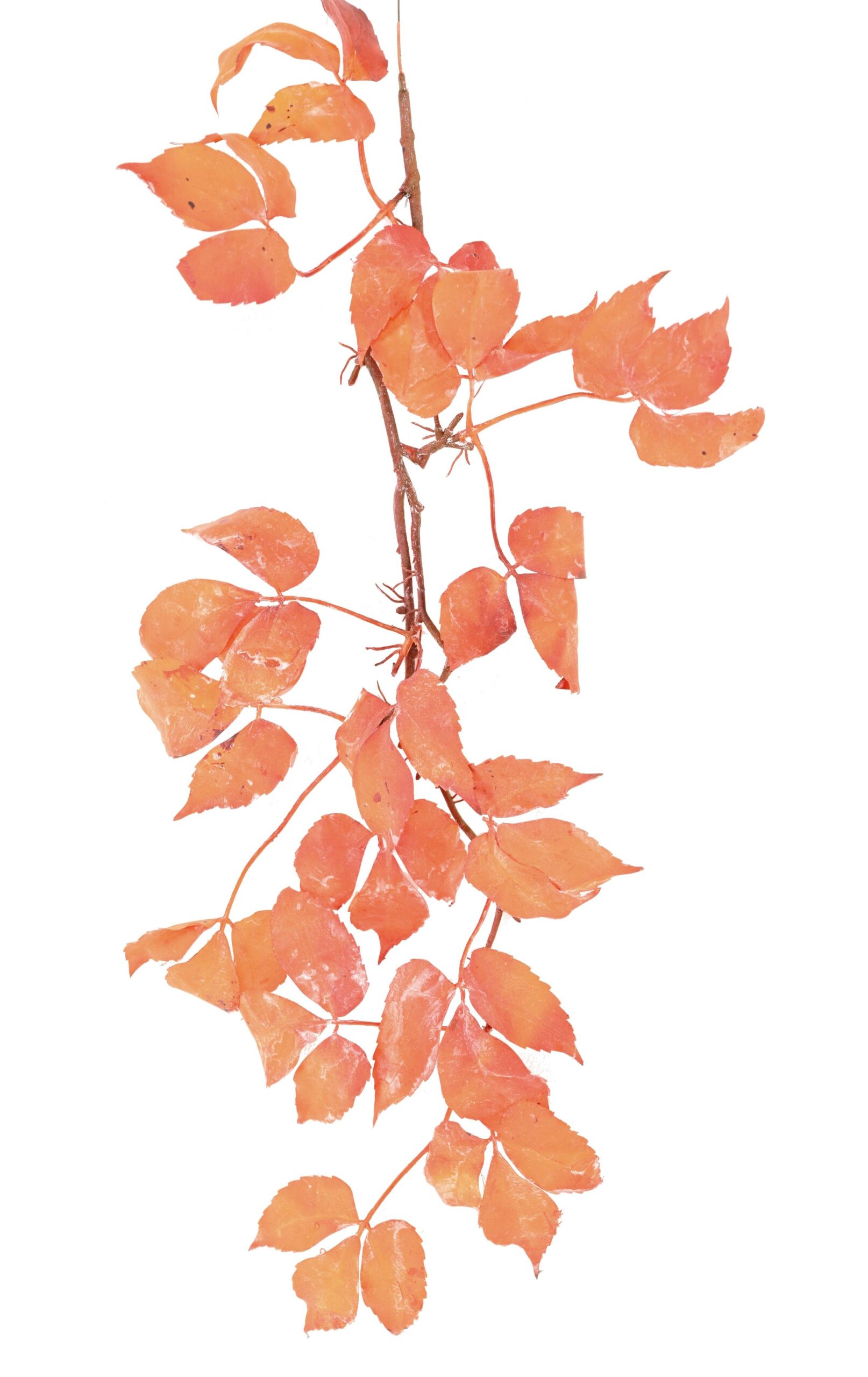 Künstlicher Wilder Wein, ca 70cm, orange 1 Künstlicher Wilder Wein, ca 70cm, orange