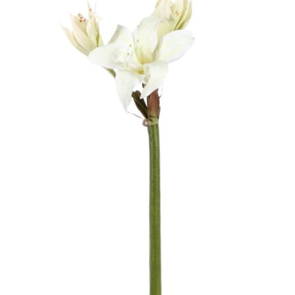 Künstliche Amaryllis, weiß, ca. 60cm hoch - Pflegeleicht!