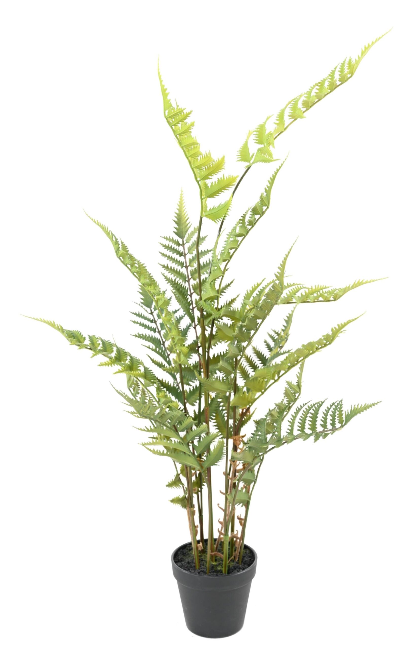 Künstlicher Wald-Farn, 80cm hoch, grün - Pflegeleicht! 1 Künstlicher Wald-Farn, 80cm hoch, grün - Pflegeleicht!