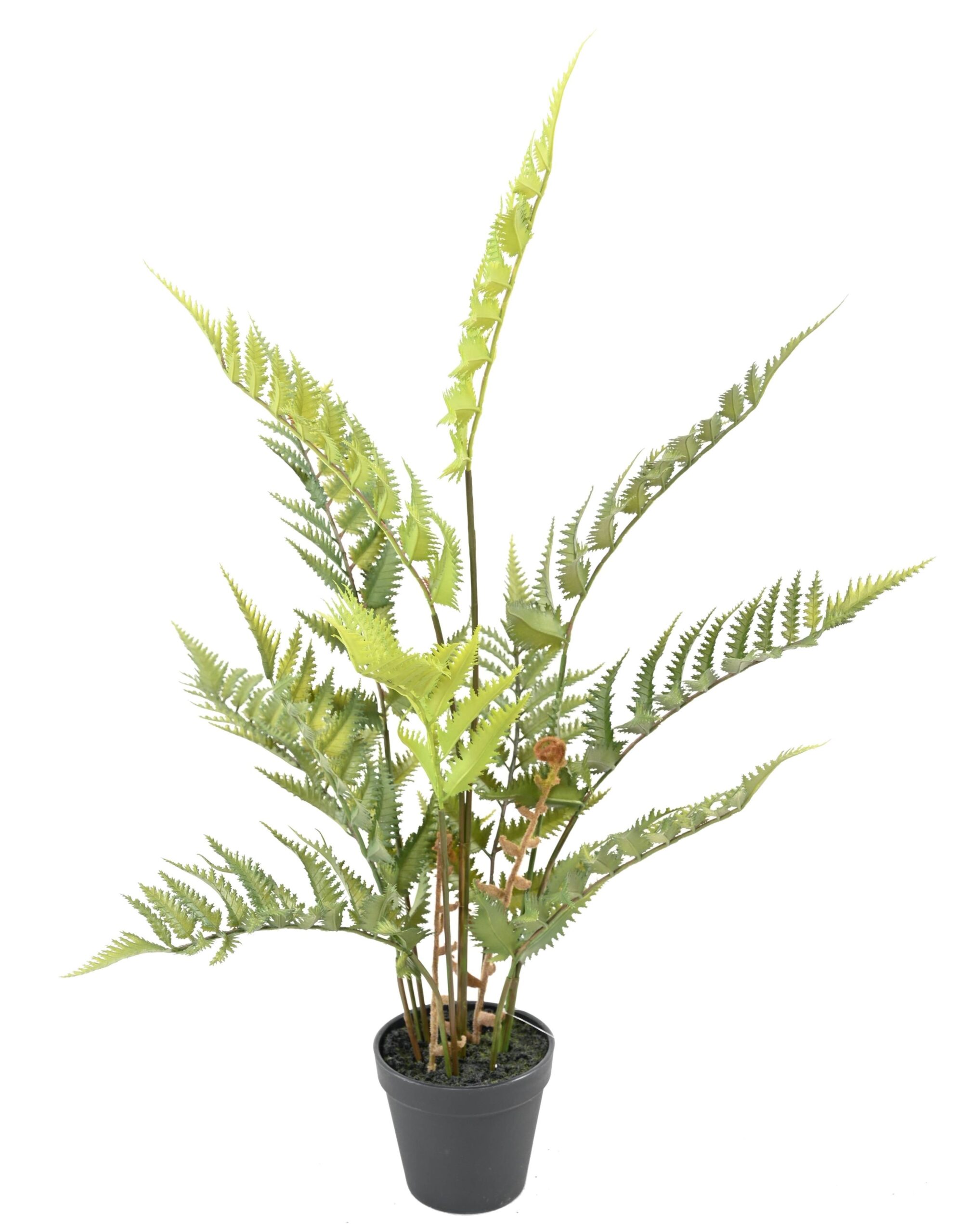 Künstlicher Wald-Farn, ca. 65cm hoch, grün 1 Künstlicher Wald-Farn, ca. 65cm hoch, grün