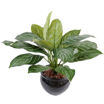 Künstliche Xanthosoma: Farbige Akzente für Ihr Zuhause