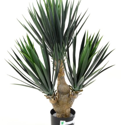 Künstliche Yucca: Pflegeleichte Eleganz für Ihr Zuhause