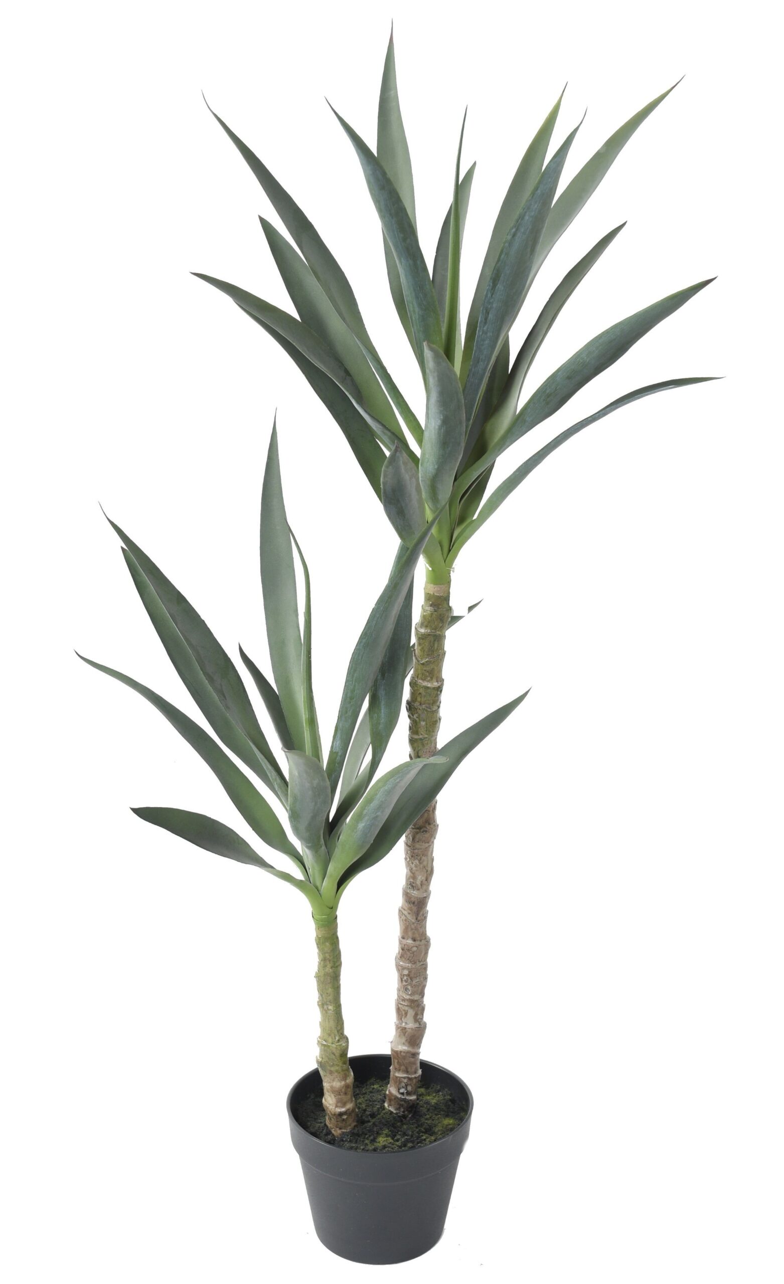 Künstliche Yucca: Pflegeleichte Eleganz für Ihr Zuhause 1 Künstliche Yucca: Pflegeleichte Eleganz für Ihr Zuhause