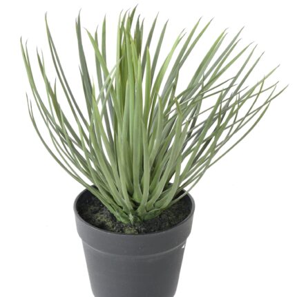 Künstliche Yucca: Pflegeleichte Deko für Ihr Zuhause