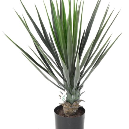 Künstliche Yucca, 60cm hoch, pflegeleicht und grün