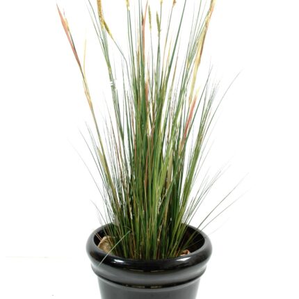 Künstliche Zanichellia, 155cm hoch, grün - Pflegeleicht!