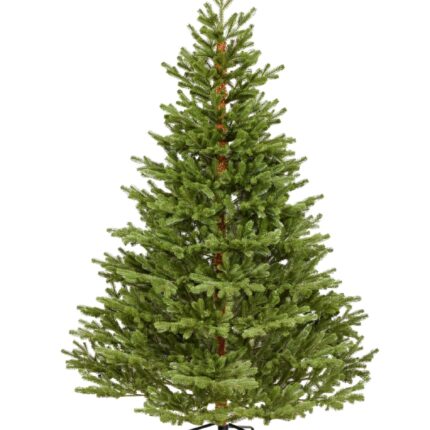 Premium Spritzguss Nordmanntanne, ca. 210cm